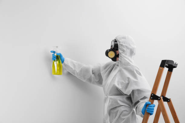 Best Biohazard Mold Removal in USA